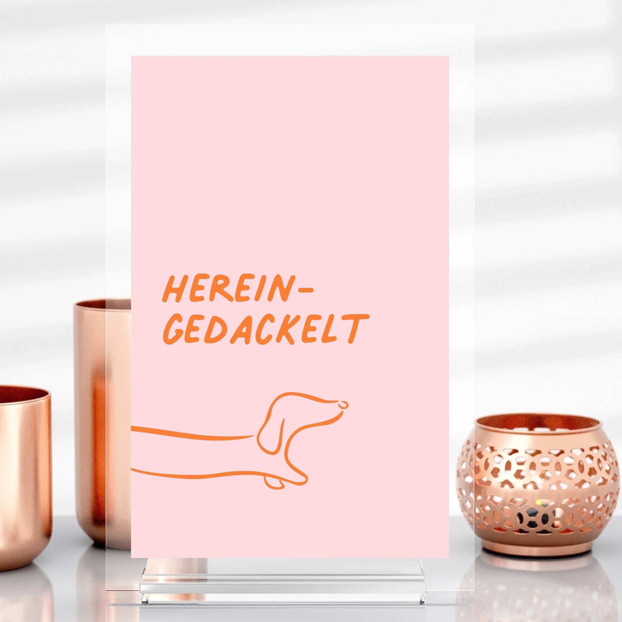 Hereingedackelt