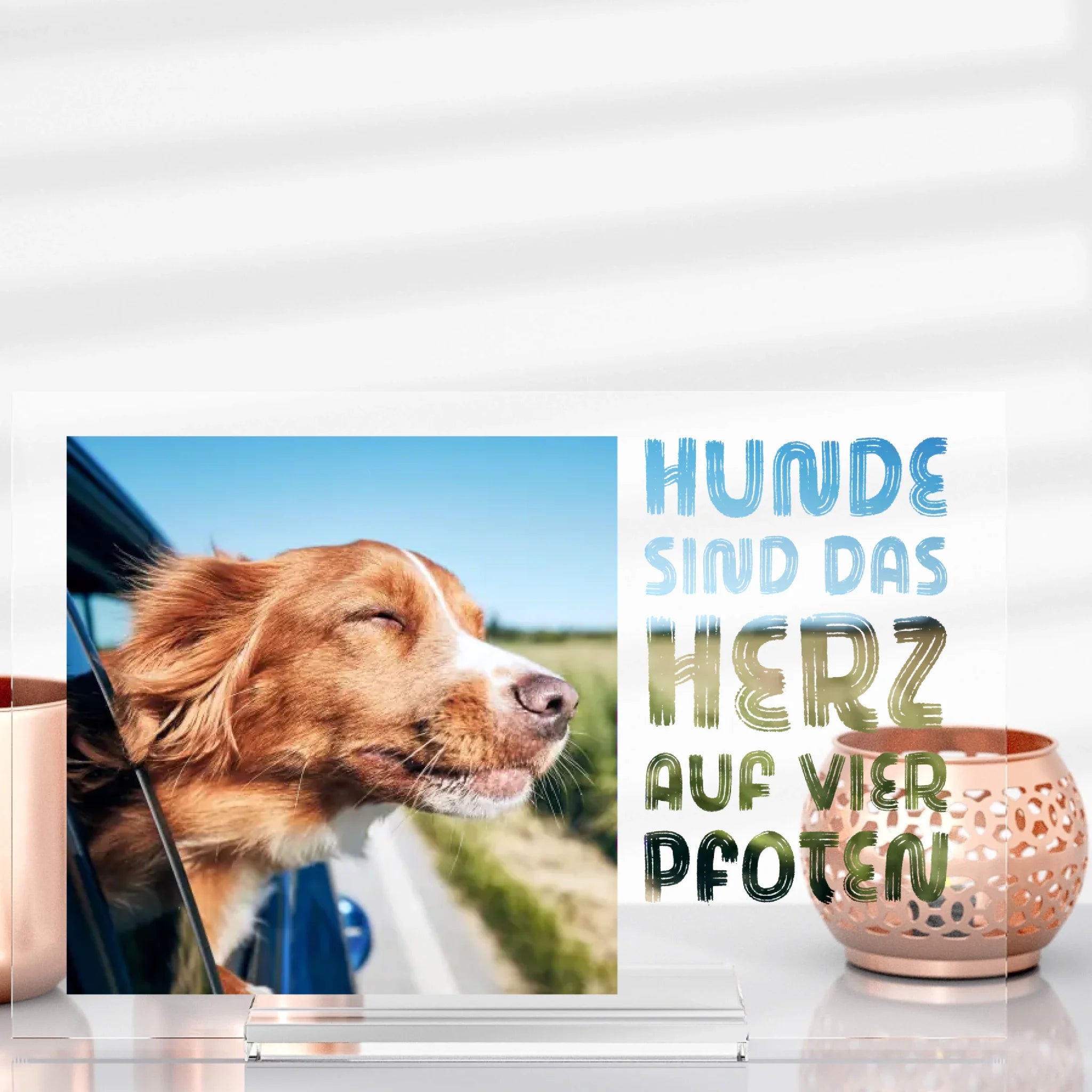 Hundeliebe
