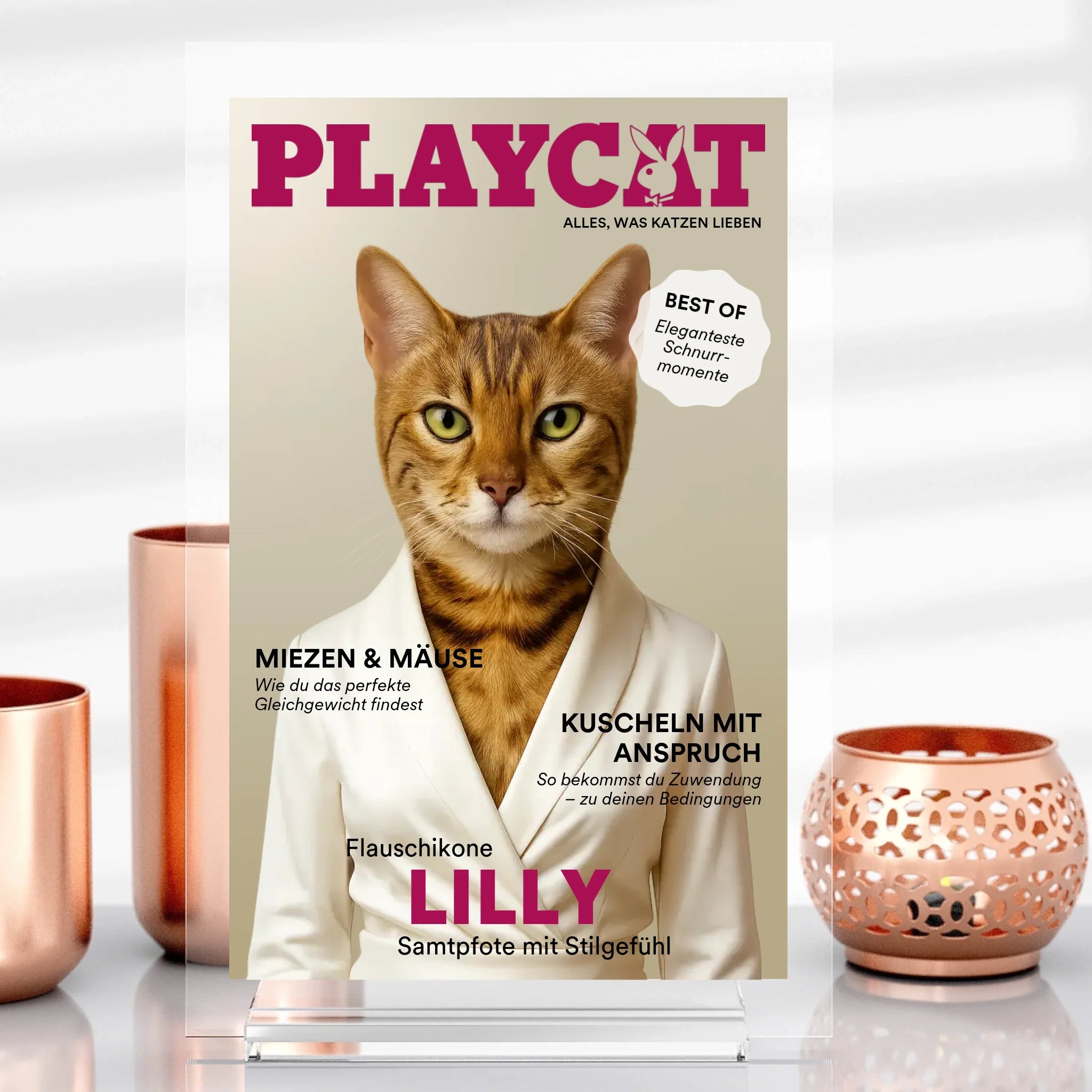 Playcat