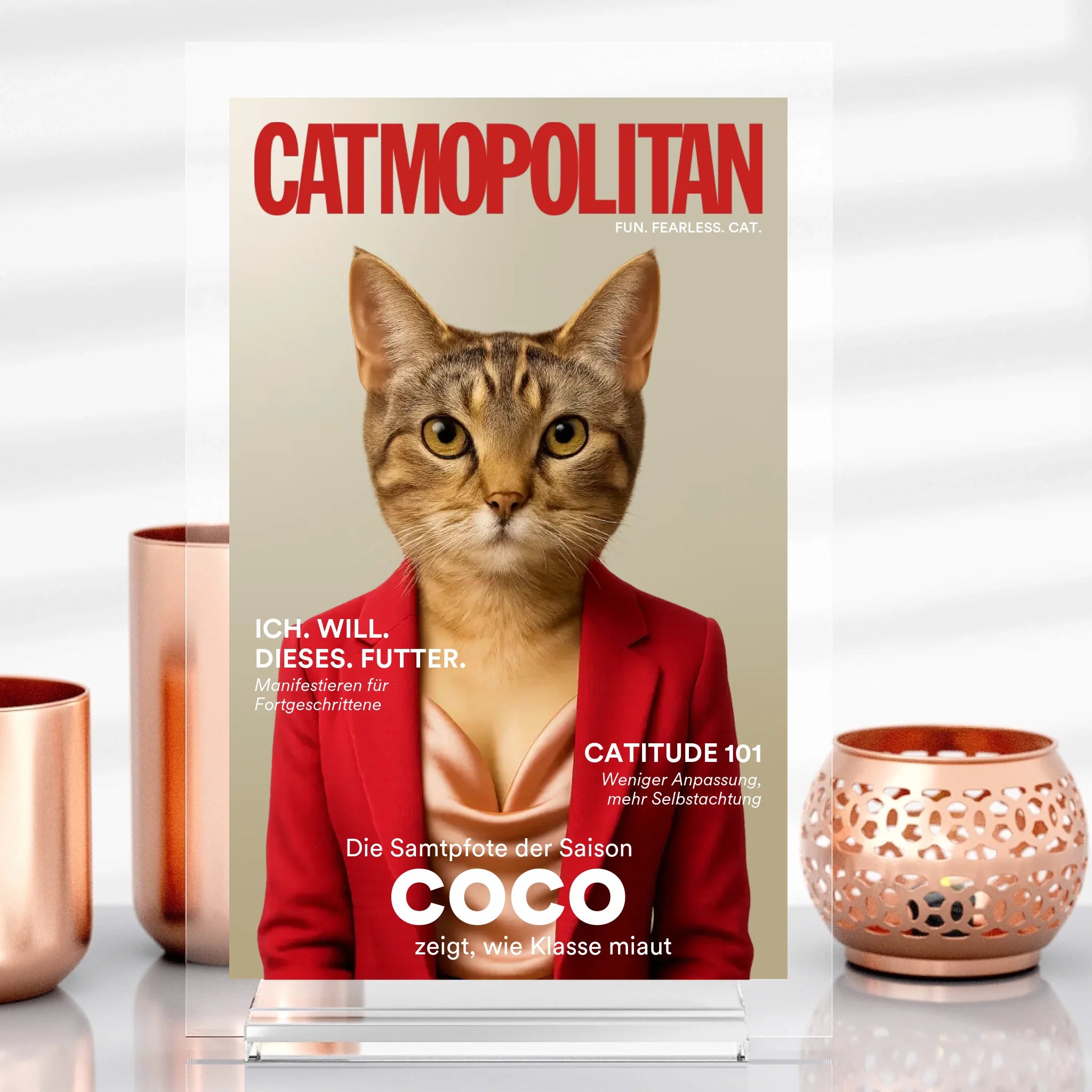 Catmopolitan