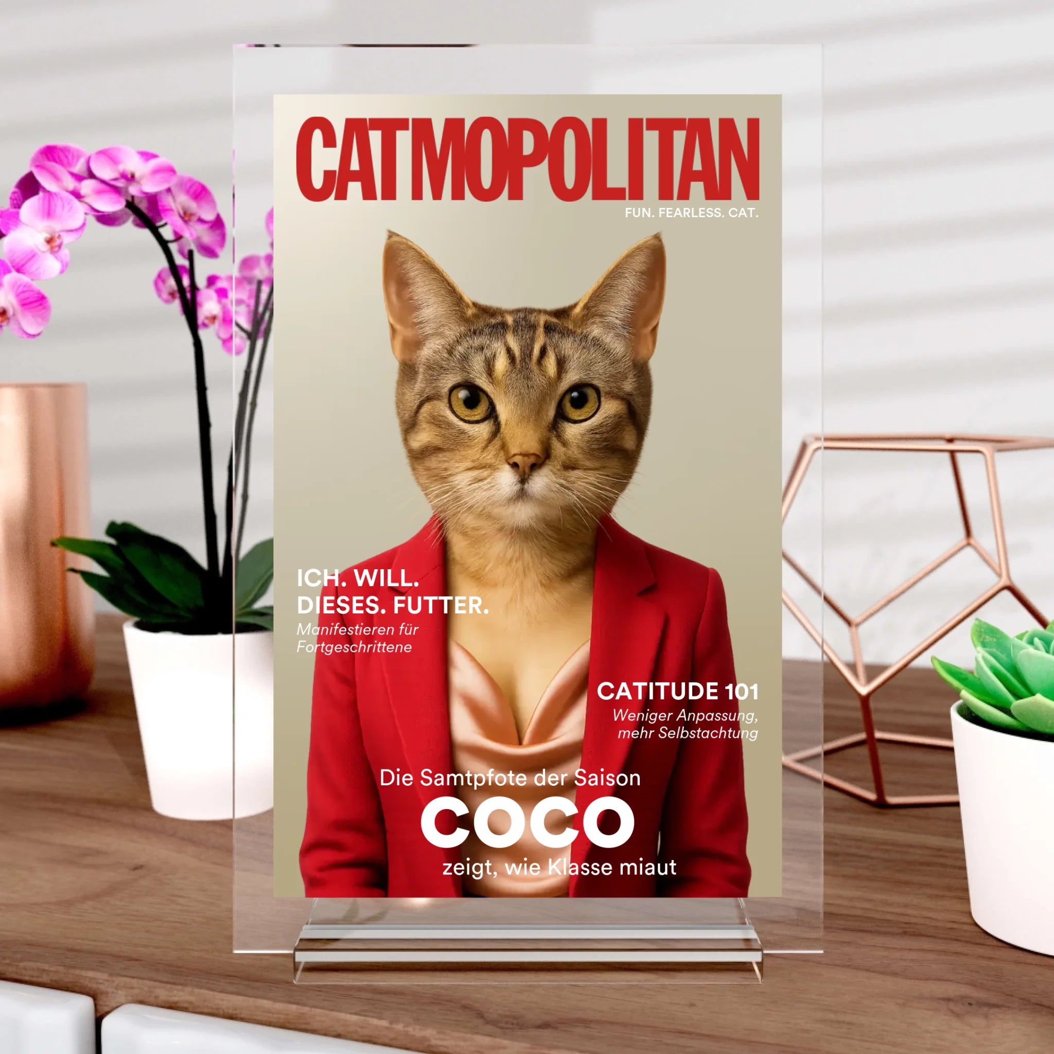 Catmopolitan