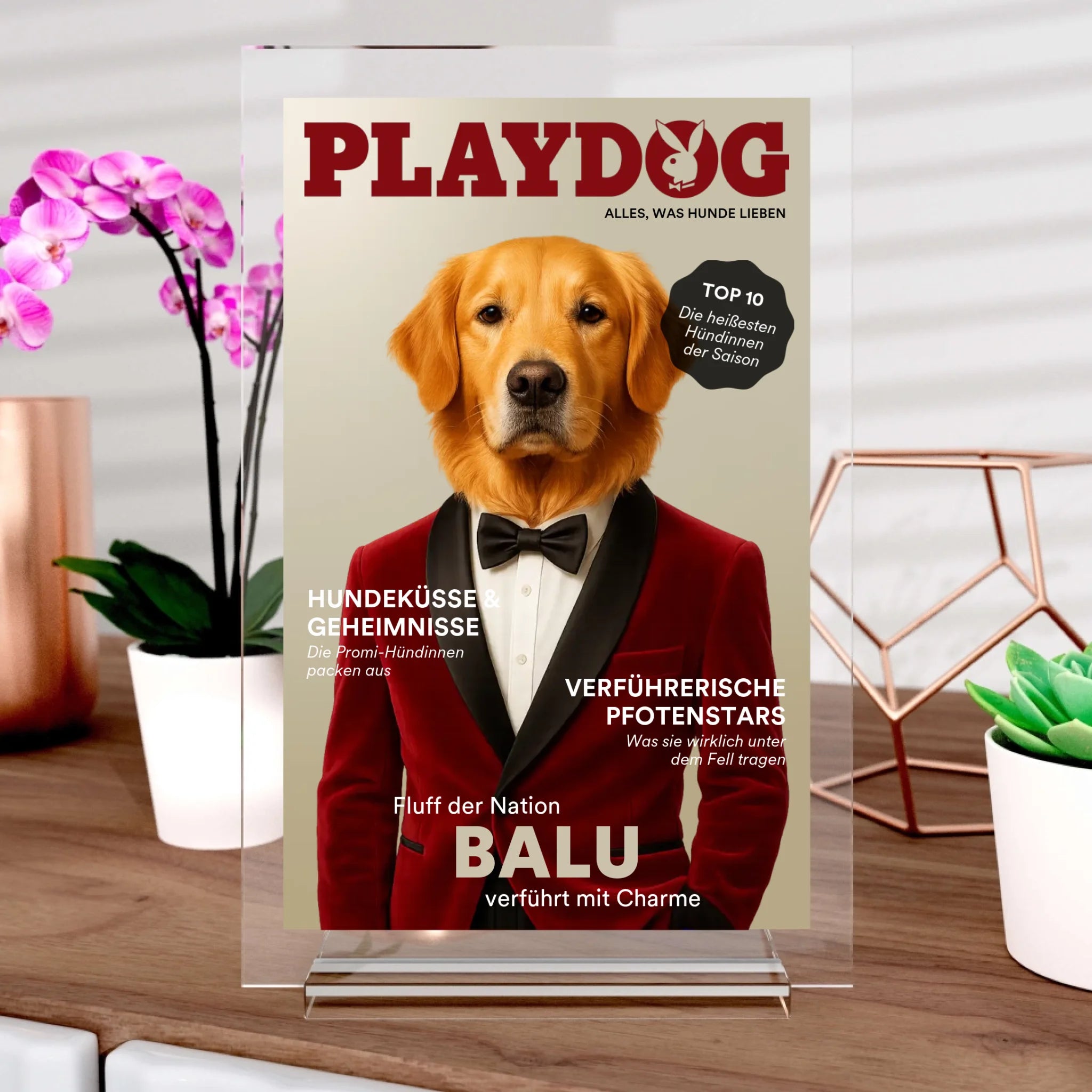 Playdog