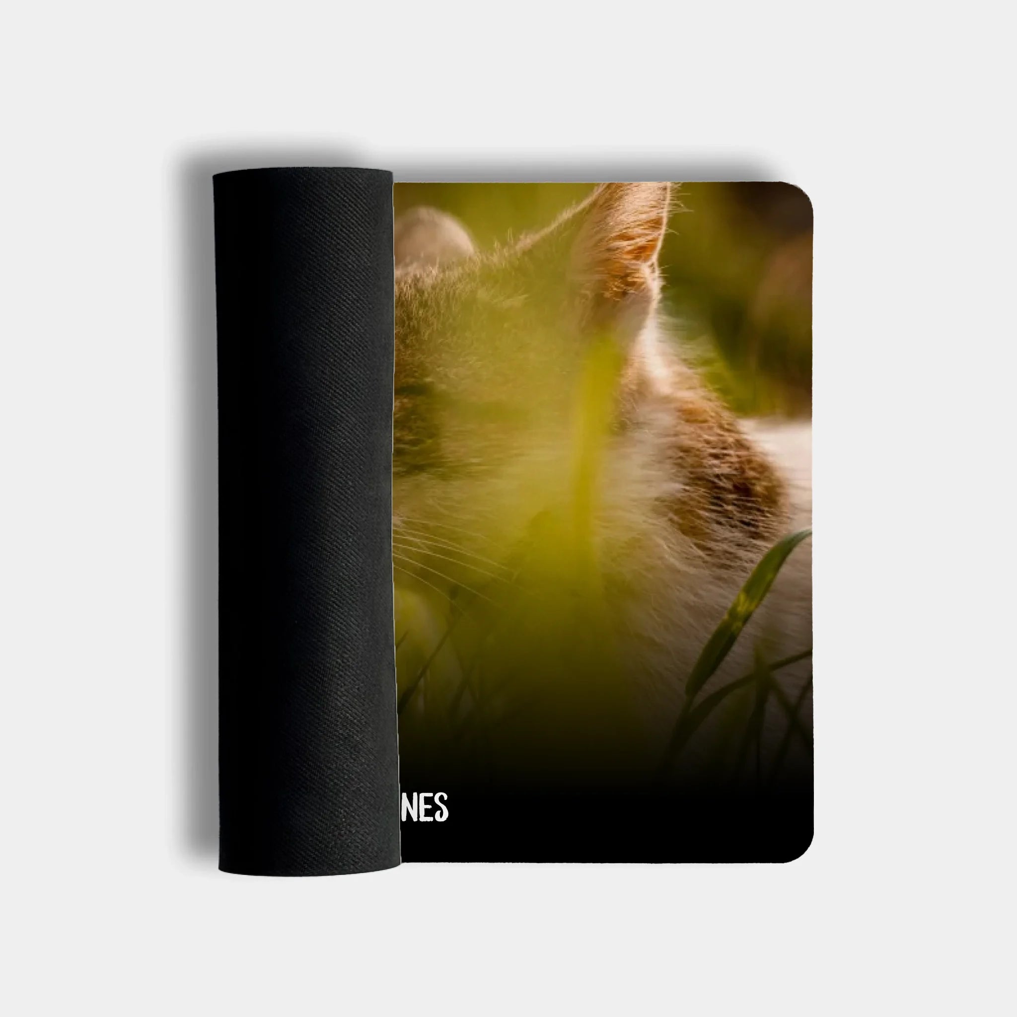 MockUp-Fussmatte-gerollt