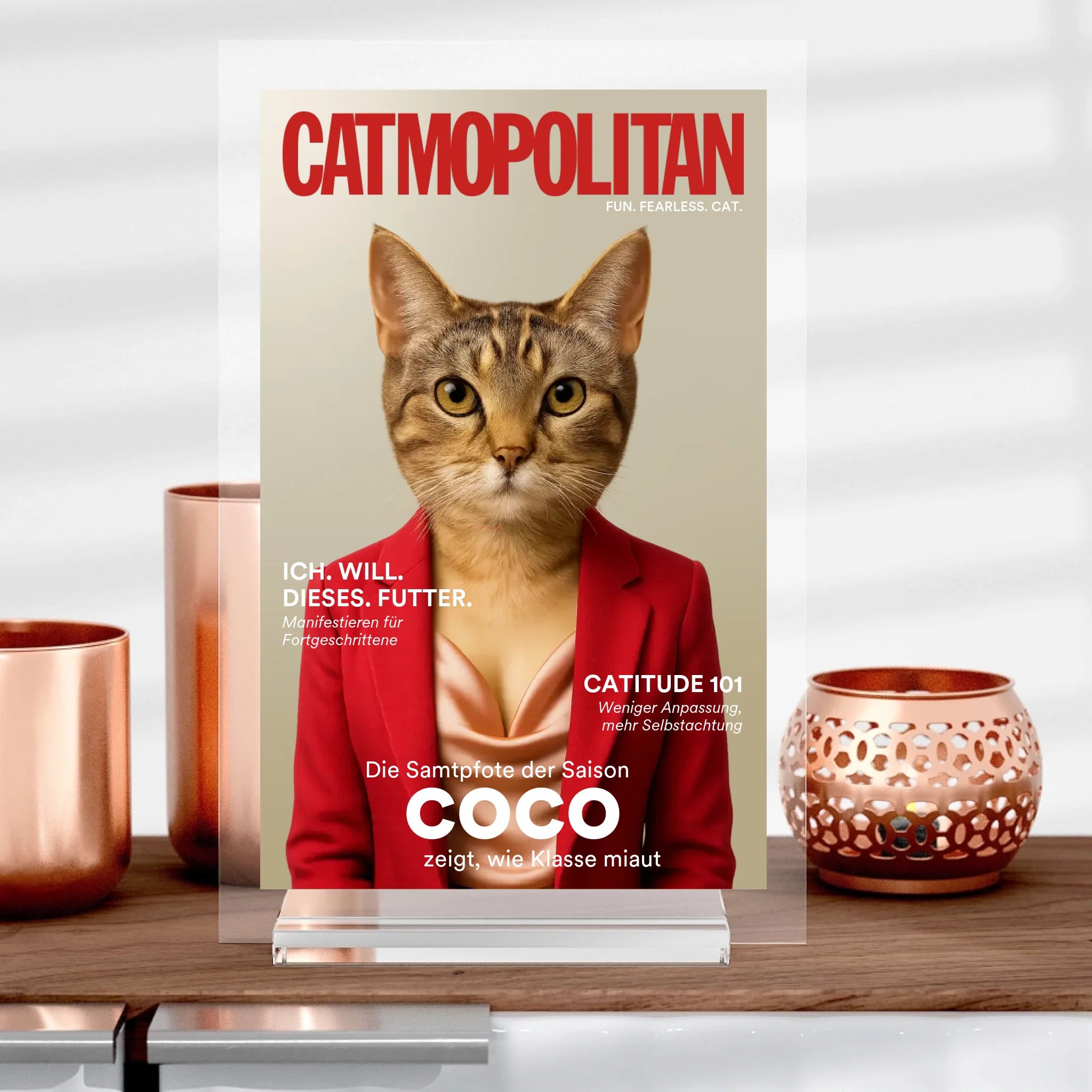 Catmopolitan
