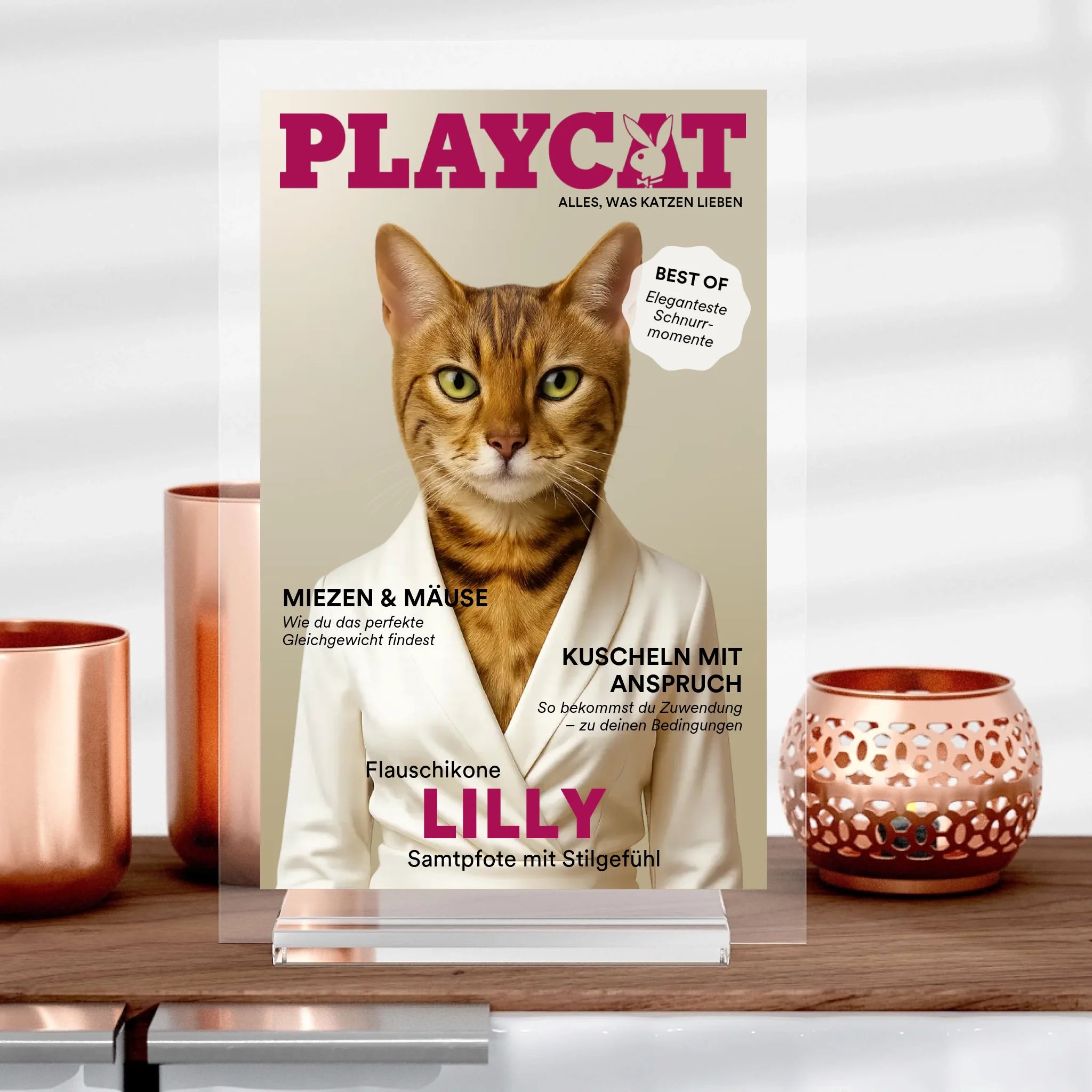 Playcat