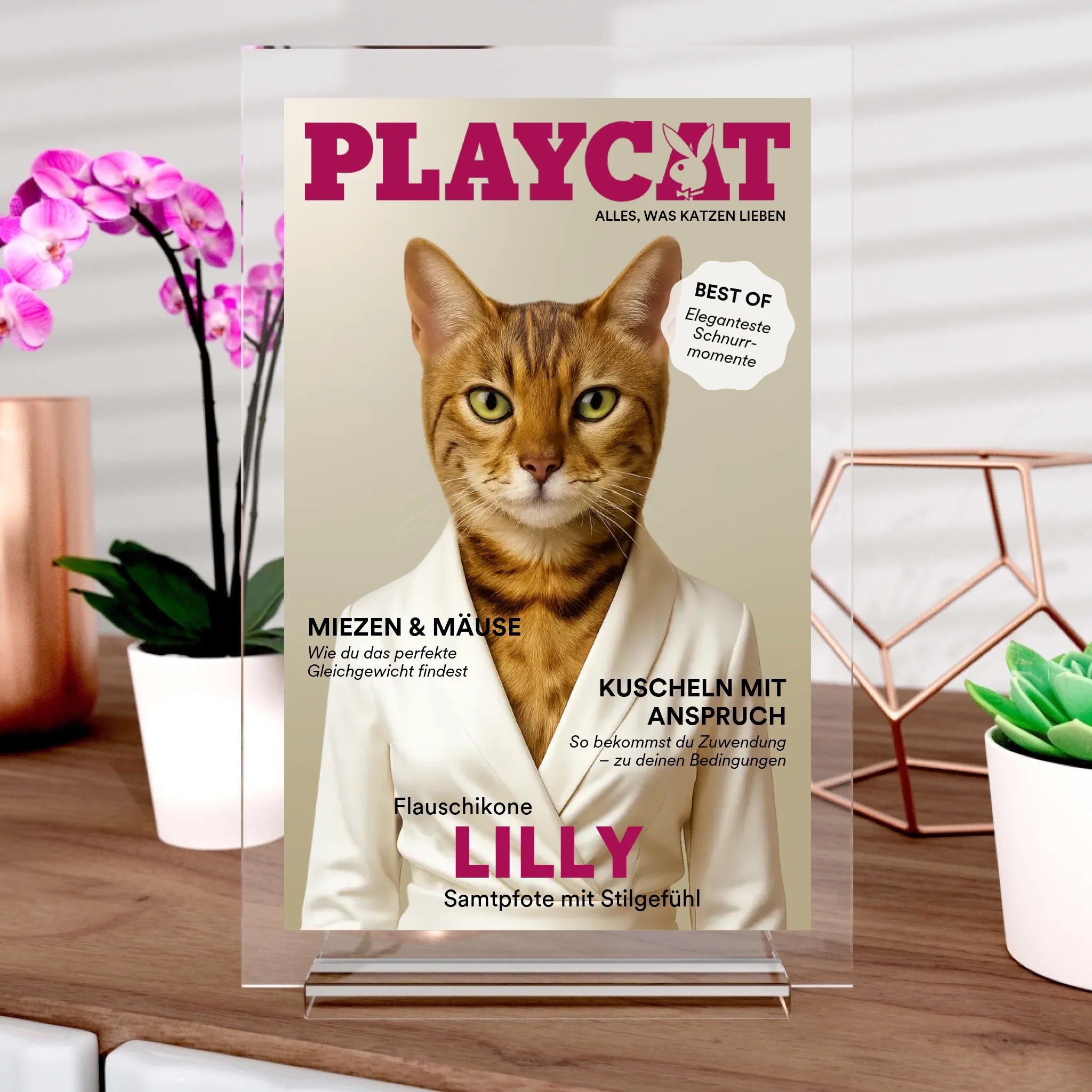 Playcat