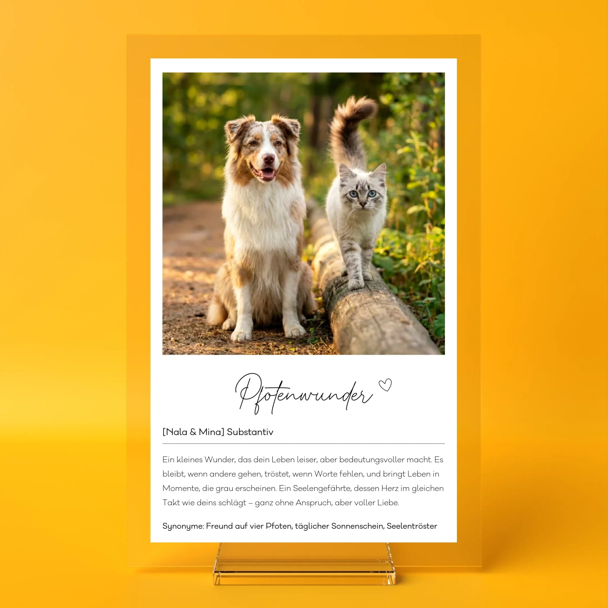 fotoaufsteller-orange