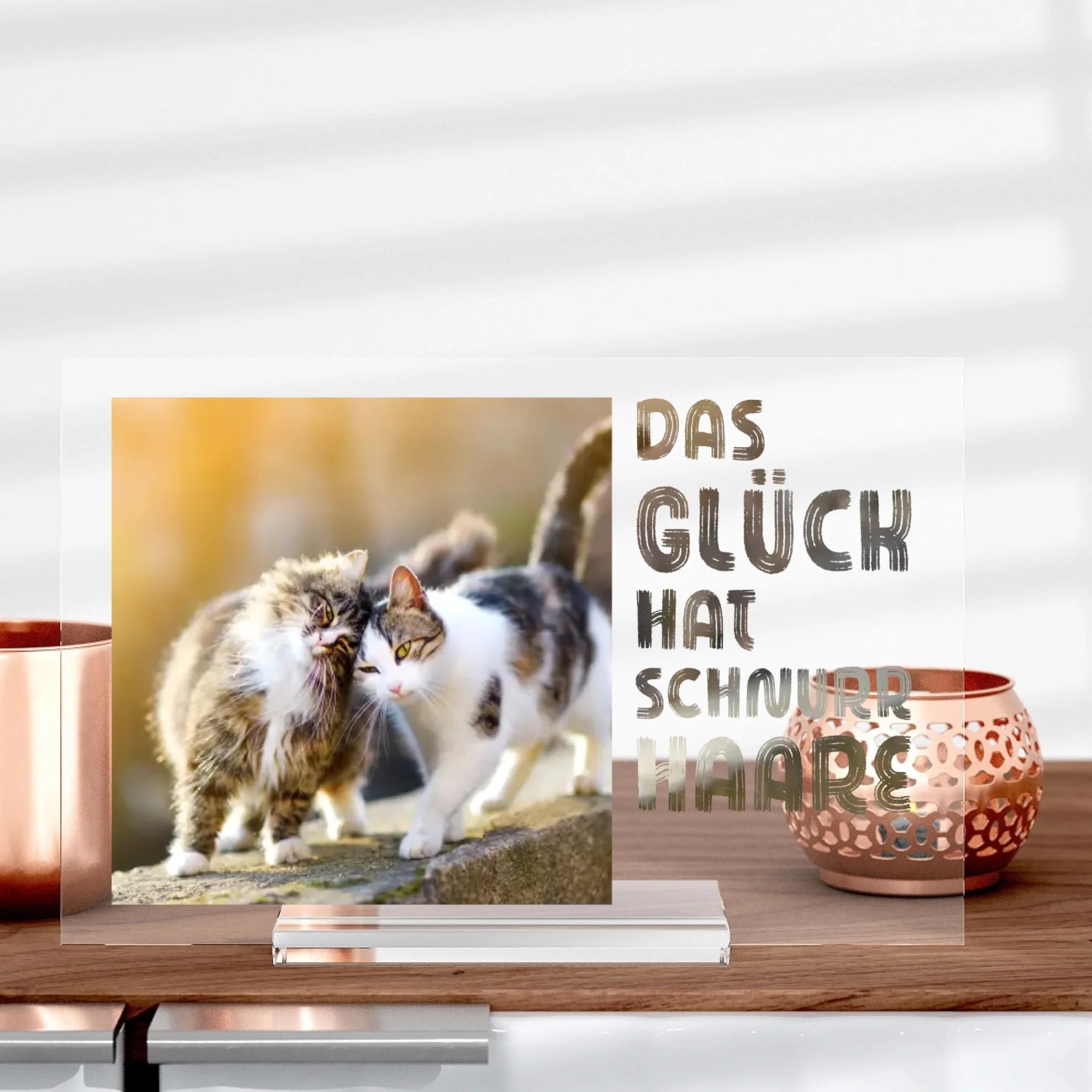 Katzenliebe