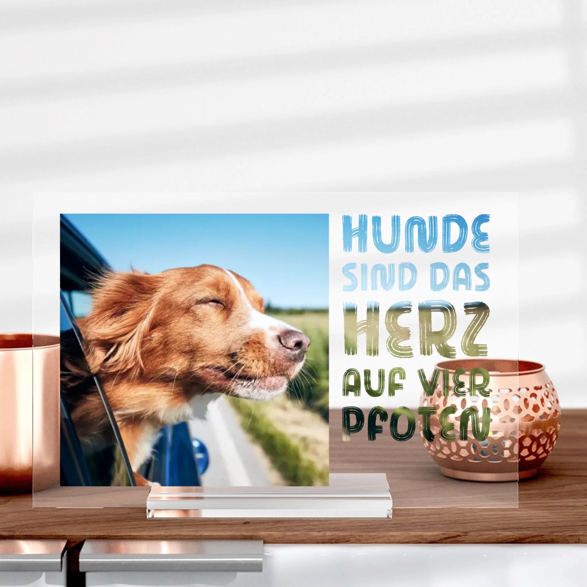 Hundeliebe