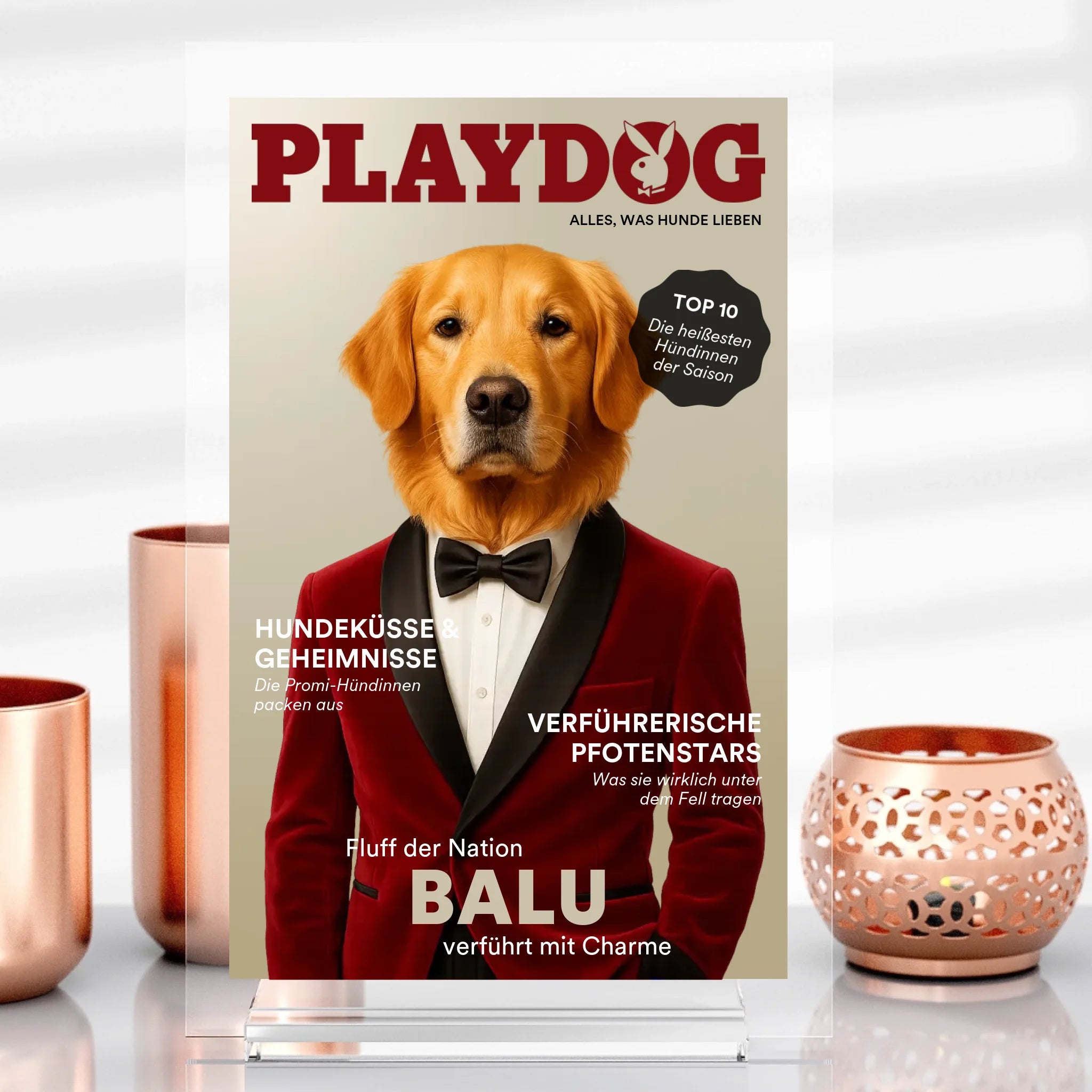 Playdog
