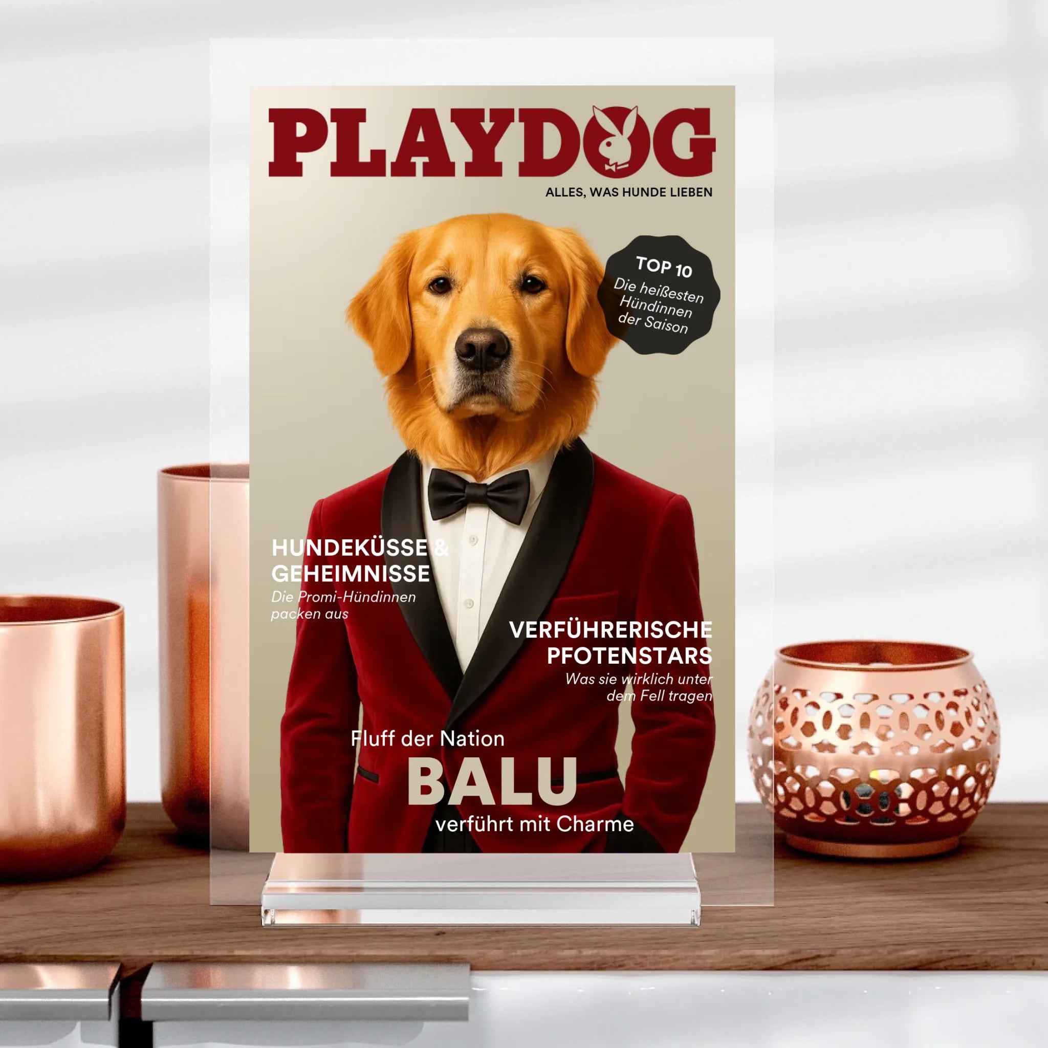 Playdog